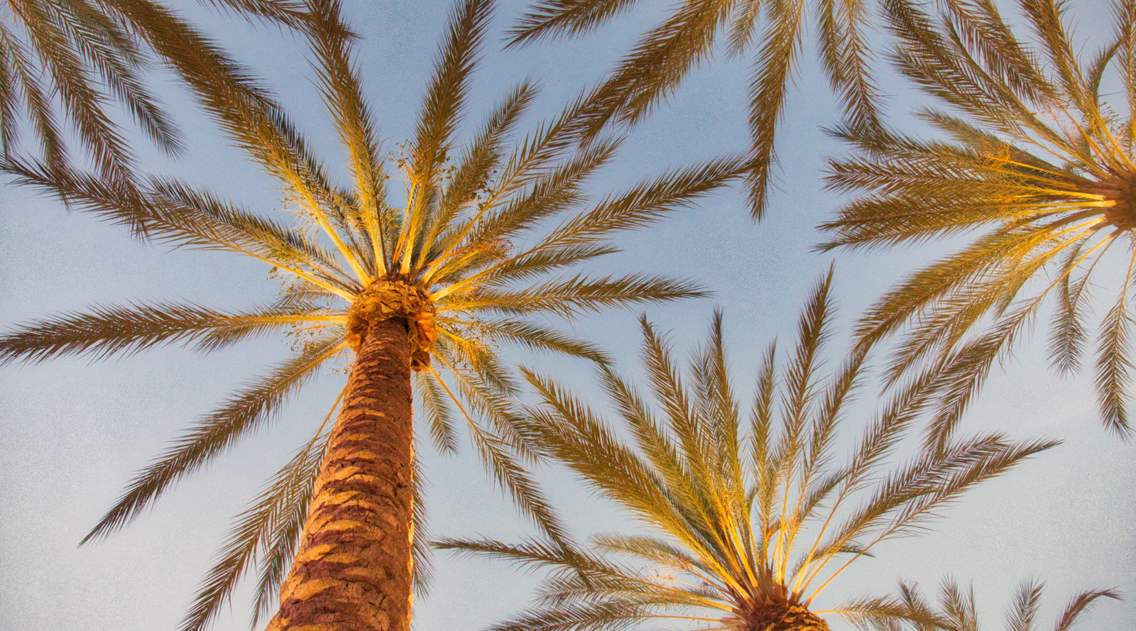 Palm Springs Bachelorette Weekend: Everything You Need to Know
