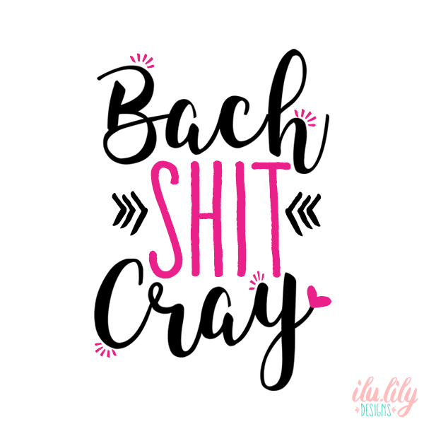 Bachelorette Party Hangover Survival Kit with Supplies |Bach Shit Cray